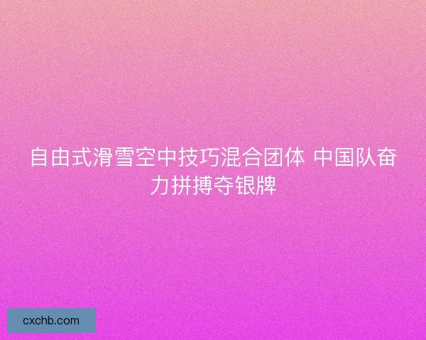 自由式滑雪空中技巧混合团体 中国队奋力拼搏夺银牌